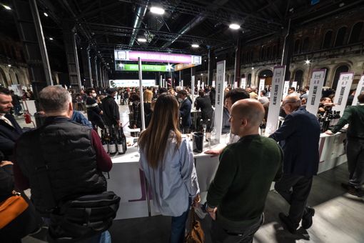 Un'immagine dalla passata edizione della rassegna promossi dai consorzi langarolo e roerino