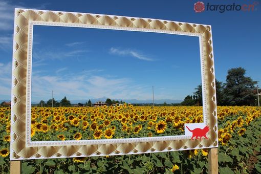 Farigliano si tinge di giallo, in arrivo il "labirinto di girasoli"