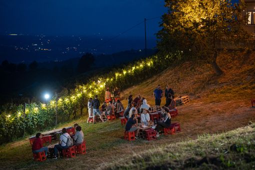 Aperivigna tra i filari di Clavesana Aperivigna tra i filari di Clavesana