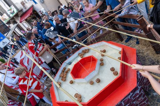 Fiera del Tartufo di Alba in una delle scorse edizioni Fiera del Tartufo di Alba in una delle scorse edizioni