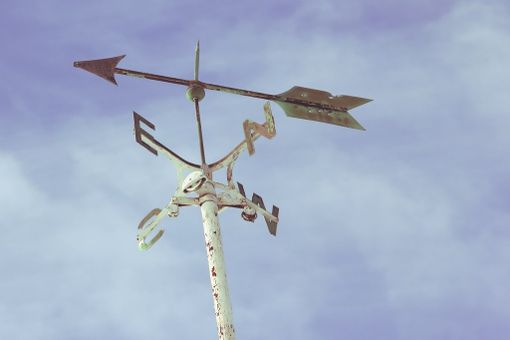 IL TEMPO DELLA SETTIMANA / Cambio di circolazione, ma ancora poche piogge