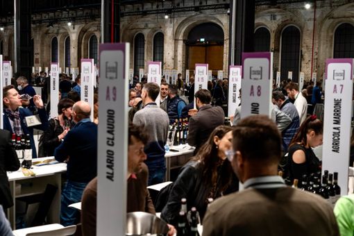 Grandi Langhe 2025: oggi il vino incontra il "mondo"