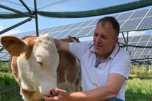 STORIE DI MONTAGNA 147/ Gianni e la sua “We spesa"