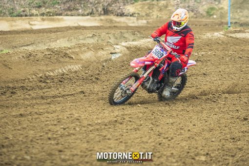 Roberto Giuliano Roberto Giuliano