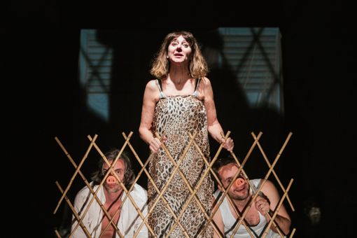 "Trasmutazioni", a Dronero lo spettacolo LidOdissea "Trasmutazioni", a Dronero lo spettacolo LidOdissea