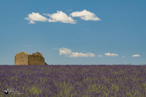Valensole