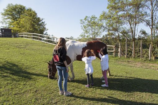 La Collina degli Elfi protagonista del dialogo nazionale sulla cura dopo la malattia: “Occasione di crescita umana e professionale” La Collina degli Elfi protagonista del dialogo nazionale sulla cura dopo la malattia: “Occasione di crescita umana e professionale”