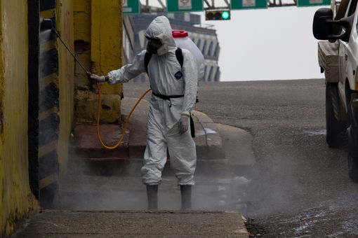 Disinfestazione e derattizzazione: tutto quello che devi sapere Disinfestazione e derattizzazione: tutto quello che devi sapere