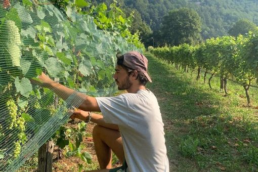 STORIE DI MONTAGNA 171 / Tommaso, tra bollicine, coraggio e sogni realizzati