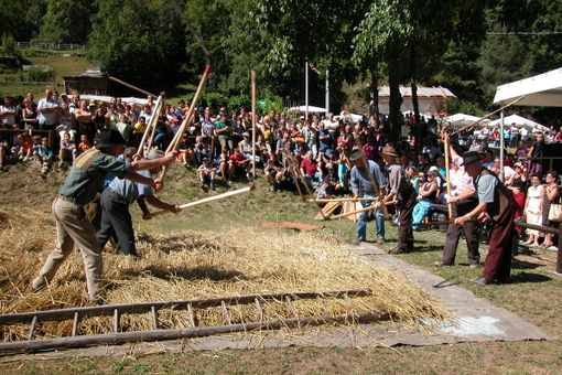 La battitura del cereale con le cavaglie in una delle passate edizioni della Festa della Segale