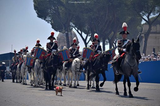Fanfara a Cavallo del Iv Reggimento Carabinieri di Roma Fanfara a Cavallo del Iv Reggimento Carabinieri di Roma