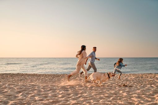 Viaggiare con gli animali domestici in Europa: come orientarsi tra le nuove norme e garantire il benessere degli animali