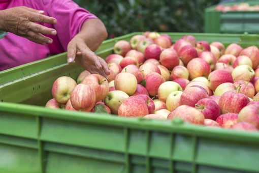 Il caso Saluzzo nella relazione del gruppo di lavoro sullo sfruttamento in agricoltura del Consiglio regionale