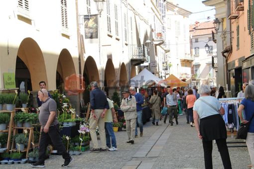 L'edizione 2024 della Fiera di Primavera di Mondovì L'edizione 2024 della Fiera di Primavera di Mondovì