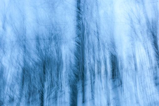 Alba, il fotografo Michele De Vita presenta “Due mondi -  e io vengo dall’altro”  omaggio a Cristina Campo