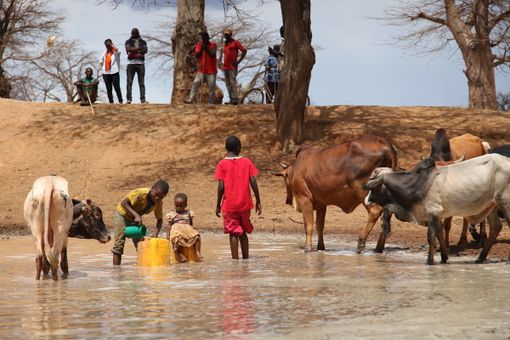 Per la Giornata Mondiale dell’Alimentazione i volontari LVIA scenderanno in  numerose piazze del Piemonte con le mele rosse solidali