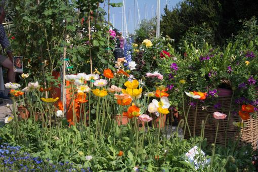 Porto di Marina degli Aregai: sesta Edizione “Aregai in Fiore” Porto di Marina degli Aregai: sesta Edizione “Aregai in Fiore”