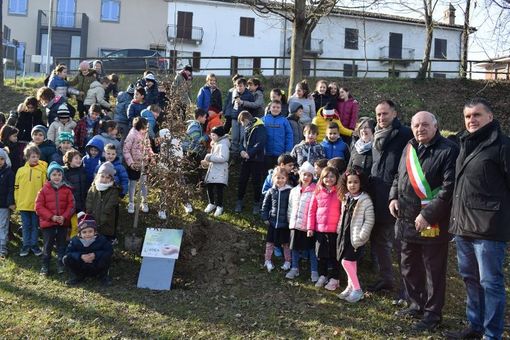 Alba: i 30 alberi del Bosco incantato di “Notti della Natività” germoglieranno in altrettanti Comuni