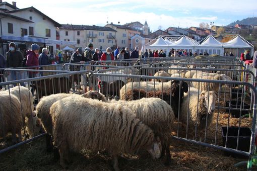 Alcune immagini dell'evento BEE Alcune immagini dell'evento BEE