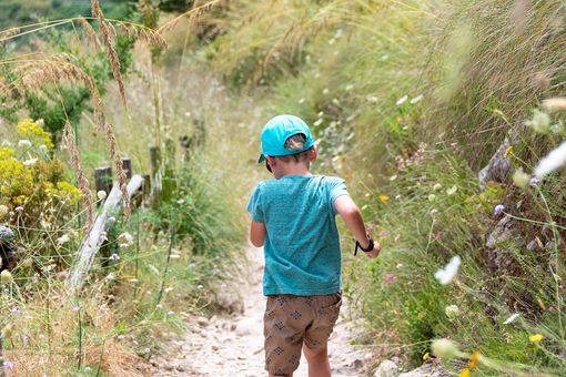 Foto generica - Pixabay Foto generica - Pixabay