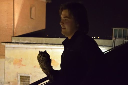 Il CRAS di Bernezzo libera due gufi dagli spalti della Castiglia di Saluzzo