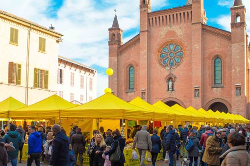 Alba si colora di giallo per il Campagna Amica Day: il Made in Cuneo protagonista nel weekend