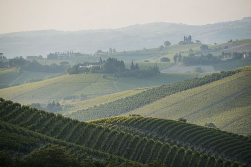 Installate due telecamere di videosorveglianza a Castiglione Tinella