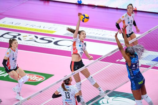 Un attacco di Agnese Cecconello