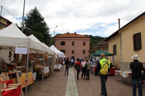 Bosia: Con Eataly, Banca d’Alba ed Egea il Premio Ancalau lancia la sua sfida 2017 alla creatività dei giovani
