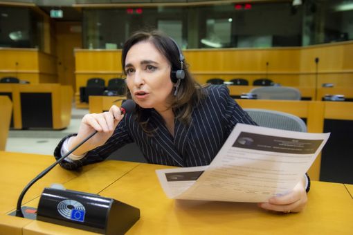 Gianna Gancia risponde a Sala: "Inopportuno paragonare Greta Thunberg ad Anna Frank" Gianna Gancia risponde a Sala: "Inopportuno paragonare Greta Thunberg ad Anna Frank"