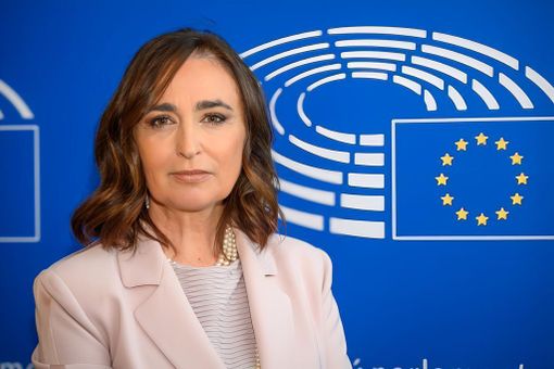 Tensioni davanti alla questura di Torino, l'eurodeputata Gancia: “Un atto vergognoso e inaccettabile” Tensioni davanti alla questura di Torino, l'eurodeputata Gancia: “Un atto vergognoso e inaccettabile”