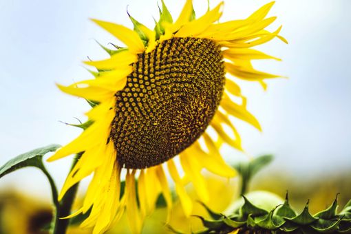 Foto generica Foto generica