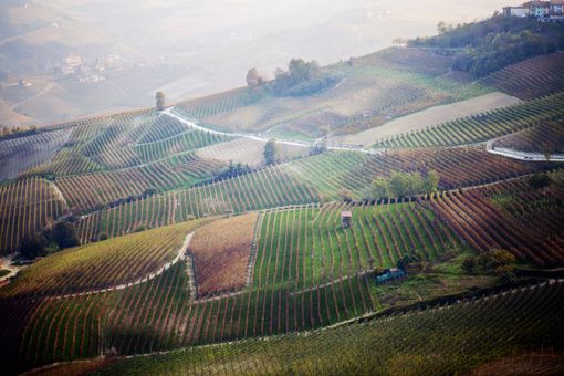 La Morra, “personale” di Rita Barbero, in arte Purpleryta La Morra, “personale” di Rita Barbero, in arte Purpleryta