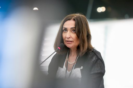 Gancia (Lega): "Presento un'interrogazione alla Commissione Ue per la tutela dei trasporti dei nostri prodotti agroalimentari"