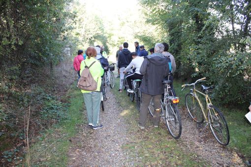 Il Comitato per il Parco Fluviale di Fossano, con il supporto della fondazione CRF, invita ad "Arte nel Parco" Il Comitato per il Parco Fluviale di Fossano, con il supporto della fondazione CRF, invita ad "Arte nel Parco"