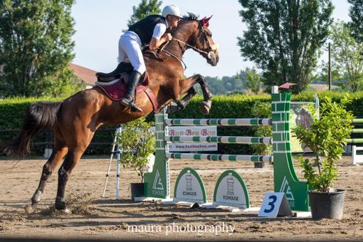 Walter Giordanengo in sella al suo sauro Alves des Bergeries (Foto: Maura Photograpy)