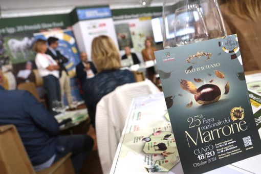 Fiera del Marrone e mercato straordinario, domenica 20 ottobre viale Angeli sarà aperto al traffico Fiera del Marrone e mercato straordinario, domenica 20 ottobre viale Angeli sarà aperto al traffico