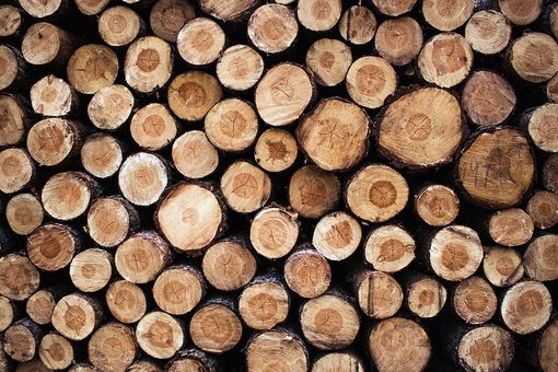 Foto generica Foto generica