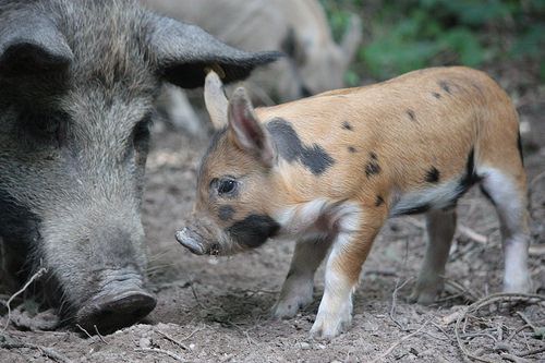 Foto generica Foto generica