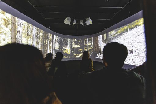 Nella mente del lupo: una mostra immersiva in San Francesco a Cuneo