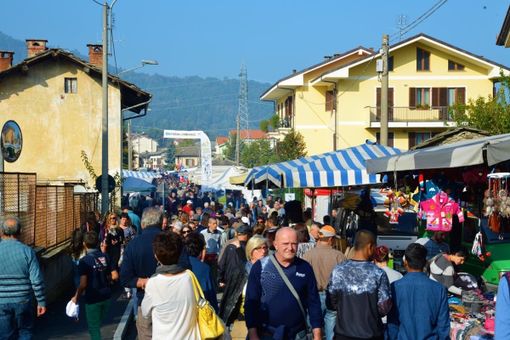 Tanti eventi in programma tra sabato 14 e domenica 15 ottobre Tanti eventi in programma tra sabato 14 e domenica 15 ottobre