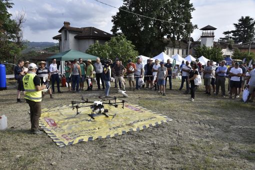 Confagricoltura organizza ad Alba l’ottava edizione delle prove dimostrative in vigneto