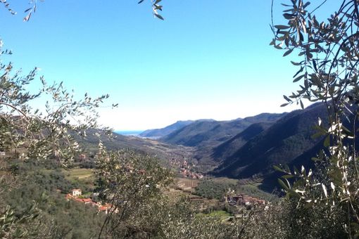 Per anni i due fratelli avevano vissuto lontani dalla vita civile, errando tra i boschi della Valle Arroscia, dormendo in casolari abbandonati