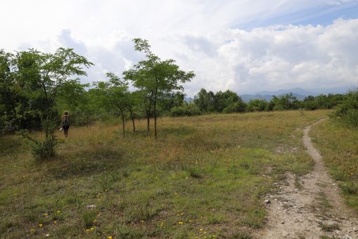Cuneo, il Parco Fluviale e il "regno delle orchidee" Cuneo, il Parco Fluviale e il "regno delle orchidee"