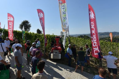 Domani ad Alba la decima edizione delle prove dimostrative in vigneto di Confagricoltura Domani ad Alba la decima edizione delle prove dimostrative in vigneto di Confagricoltura