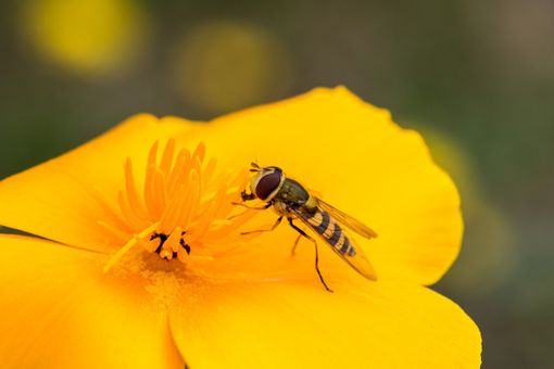 Immagine di repertorio Immagine di repertorio