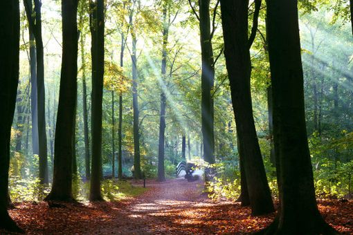 Continua il bel tempo autunnale: lunedì un po' di pioggia, poi torna la stabilità Continua il bel tempo autunnale: lunedì un po' di pioggia, poi torna la stabilità