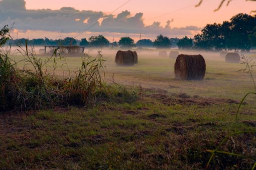 A Cherasco il convegno sul progetto "Fieno Solidale" della condotta Slow Food Bra