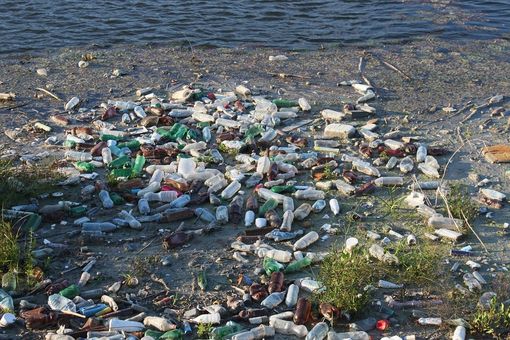Un belga in media ingerisce 11.000 frammenti di plastica all’anno: anche in Italia i rifiuti ritornano dagli oceani alla nostra tavola