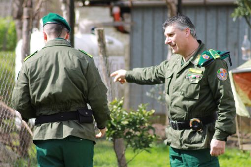 Immagine di repertorio